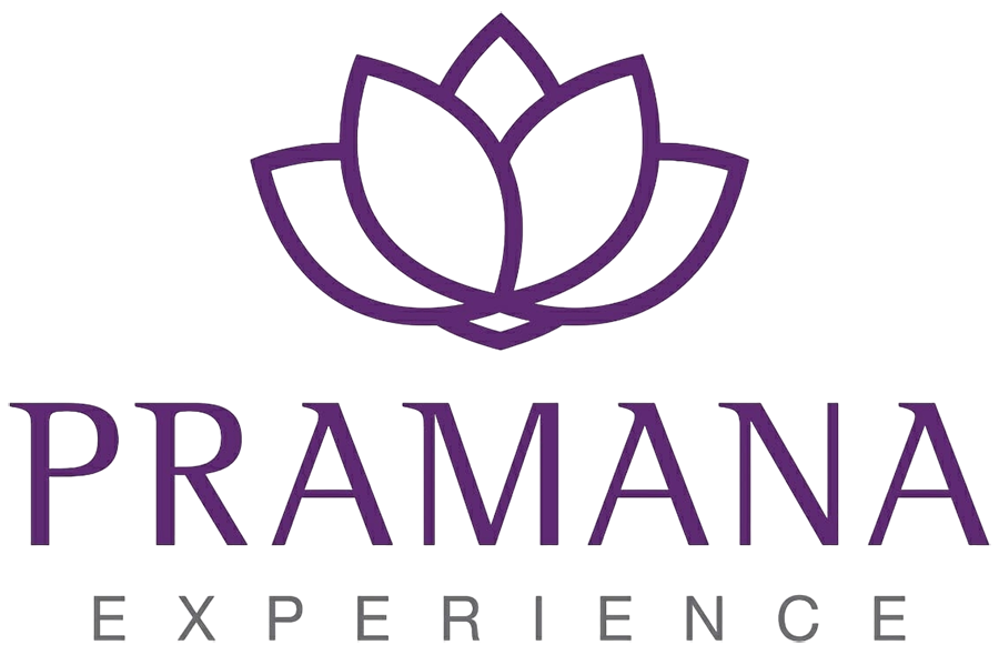 Pramana Experience